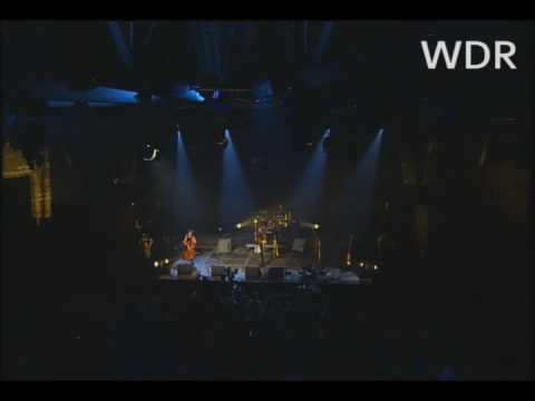 Youtube: Asaf Avidan & the Mojos - Out In The Cold (live at Tanzbrunnen, Koln 2009)