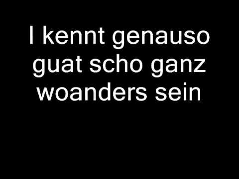 Youtube: Wolfgang Ambros - I glaub i geh jetzt (Lyrics)