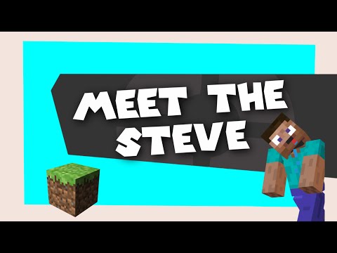 Youtube: SM64: Meet the Steve