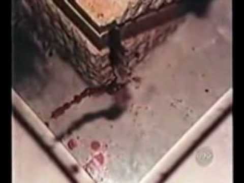 Youtube: Darlie Routier - The Bloody Fingerprint