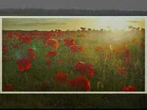 Youtube: Eric Bogle - No Man's Land ( Green Fields of France )