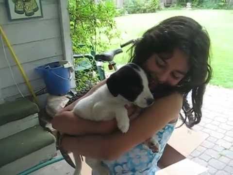 Youtube: Emily's 9th birthday present, A PUPPY A PUPPY