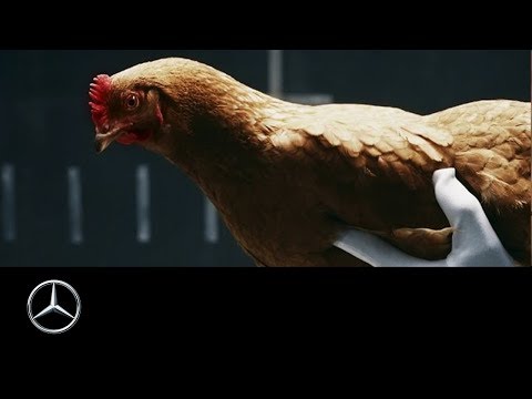 Youtube: Mercedes-Benz “Chicken” MAGIC BODY CONTROL TV commercial
