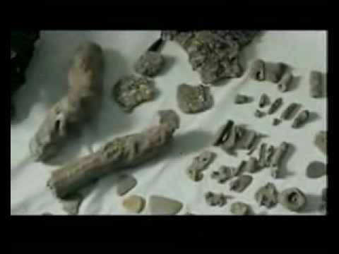 Youtube: Dwarka, India - 12,000 Year Old City of Lord Krishna Found - *Full*