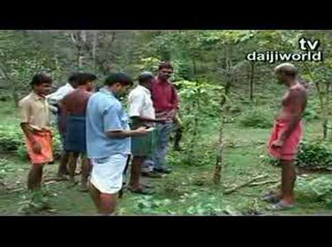 Youtube: Carnivorous Tree Spotted near Beltangady
