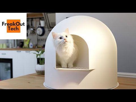 Youtube: 5 Incredible Inventions For Your Cat #1 ✔