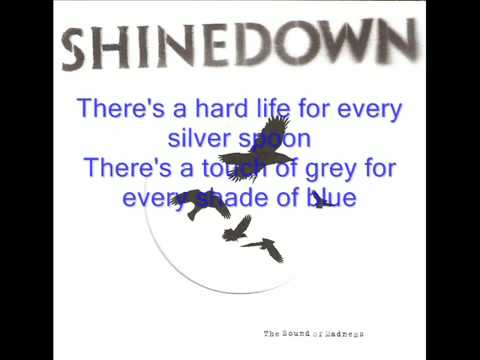 Youtube: Shinedown - What A Shame (lyrics)