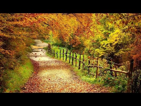 Youtube: Antonio Vivaldi "Herbst" 1. Satz ~ HD