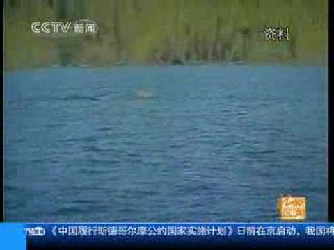 Youtube: unknown creature in Kanas Lake 新疆喀纳斯湖现湖怪群