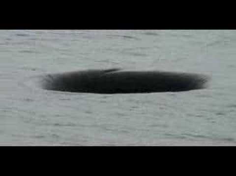 Youtube: Hole in the water