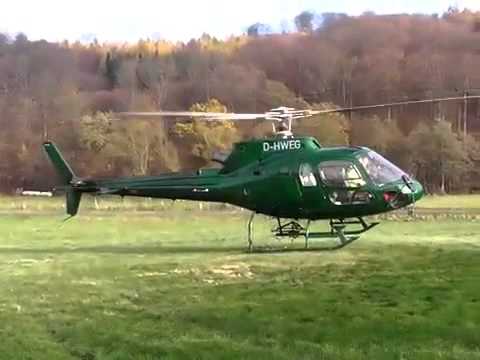 Youtube: Bäume in Nordwaldeck werden mit Hubschrauber gekalkt
