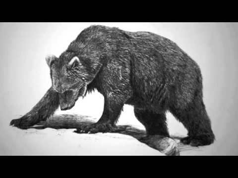 Youtube: The Bear and the Maiden Fair