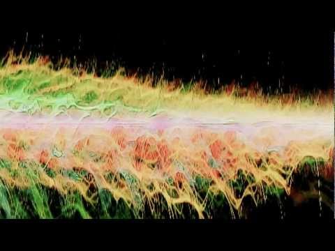 Youtube: C a n | a r y - Flight into the Fields of Sound