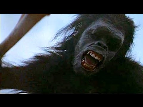 Youtube: 2001 A Space Odyssey - Ape and Bones