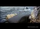 Youtube: Jaws Trailer 1975