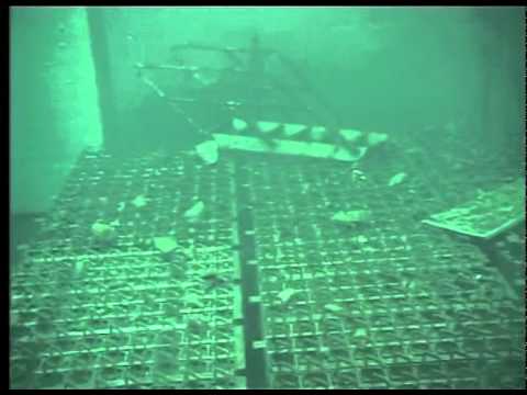 Youtube: Fukushima Spent Fuel Pool Video - Unit 4