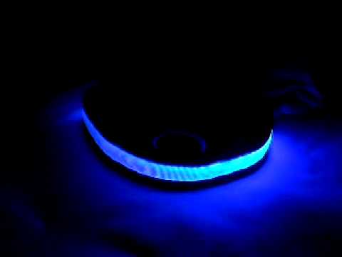 Youtube: led hundeleine & halsband blau 3  www.nushphone.de