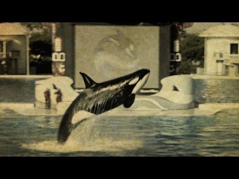 Youtube: Vor 20 Jahren: Killerwaldame Corky | SPIEGEL TV