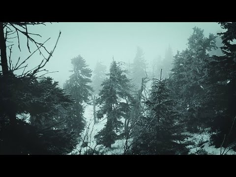 Youtube: Snowstorm Blizzard Wind Sounds For Sleeping, Relaxing ~ Calm Snow Arctic Howling Winter Ambience