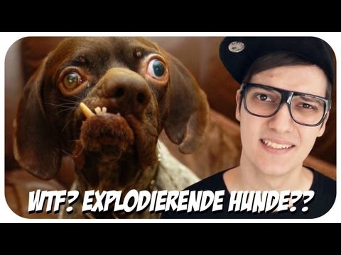 Youtube: Hunde, die nach 7 Wochen Explodieren? Liliputaner jagen um Flatscreen zu gewinnen? WTF?