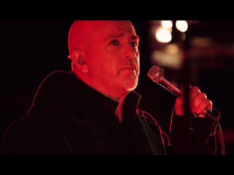 Youtube: Peter Gabriel - Heroes (Live in Verona 2010)