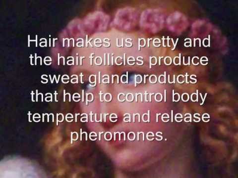 Youtube: MHS9: MORGELLONS HAIR AND GENETIC TRANSFORMATION