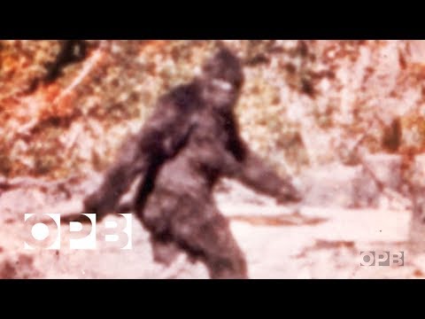Youtube: The Film That Made Bigfoot A Star | OPB