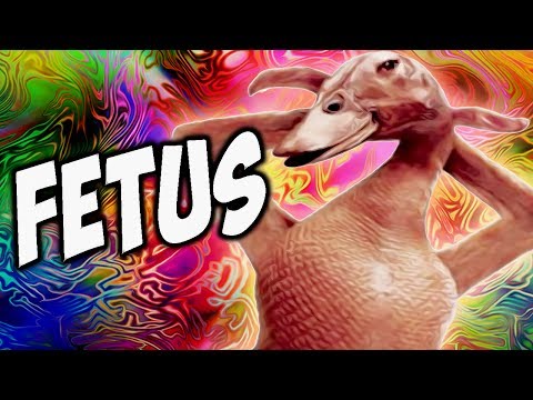 Youtube: FETUS PICS! - (Fridays With PewDiePie - Part 79)