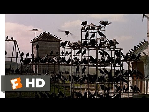 Youtube: Crows on the Playground - The Birds (5/11) Movie CLIP (1963) HD