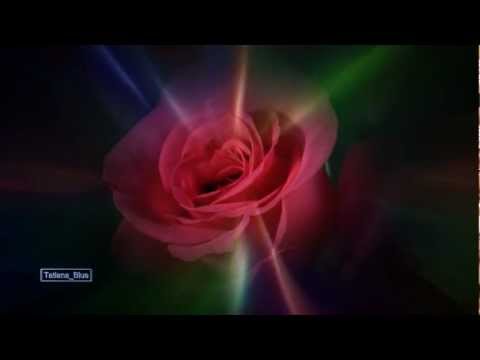 Youtube: 𝕃𝔼𝕆 ℝ𝕆𝕁𝔸𝕊 - The Rose @TatianaBlue2