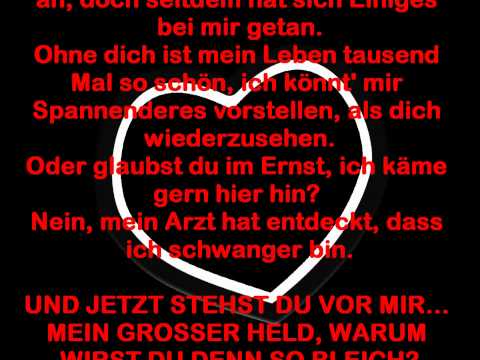 Youtube: Die Ärzte - Der Tag (Lyrics)
