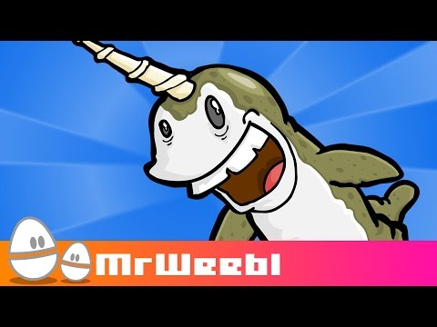 Youtube: Narwhals : animated music video : MrWeebl