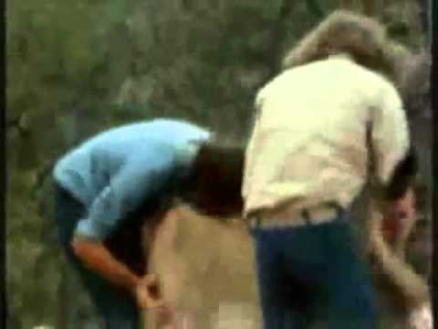 Youtube: Christian The Lion