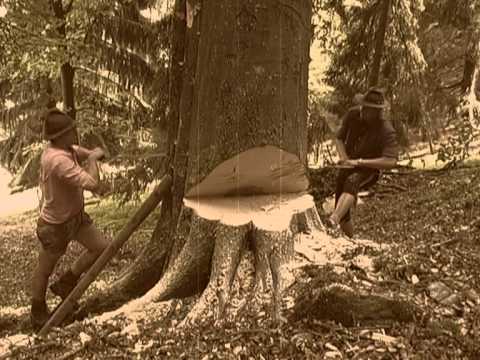 Youtube: Die lustigen Holzhackerbuam