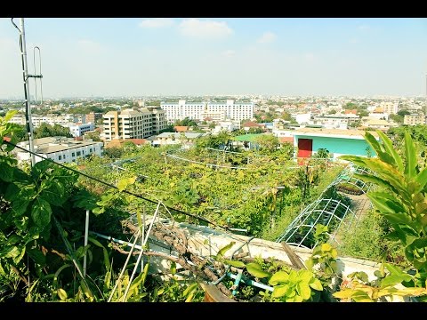 Youtube: Best rooftop garden - over 400 different plants on one roof in Bangkok