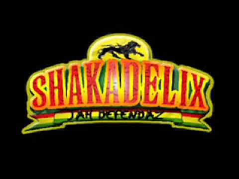 Youtube: Shakadelix  - Chant Again.wmv
