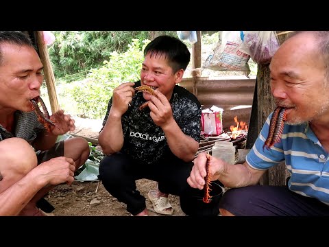 Youtube: Looking for food and meeting a wild centipede- Grill the centipede and eat it | horror asian cuisine