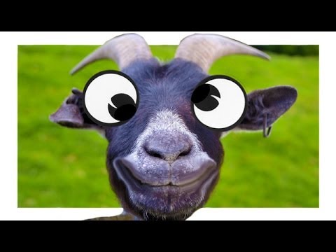 Youtube: Funny Goat Simulator Random Gameplay Moments