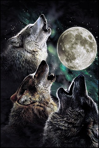 4995-howling-at-the-moon