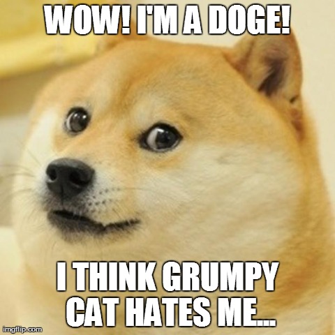 doge hated by grumpy cat
