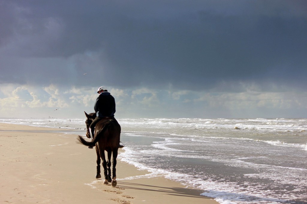 lone-rider-on-a-beach-northsea 112515792