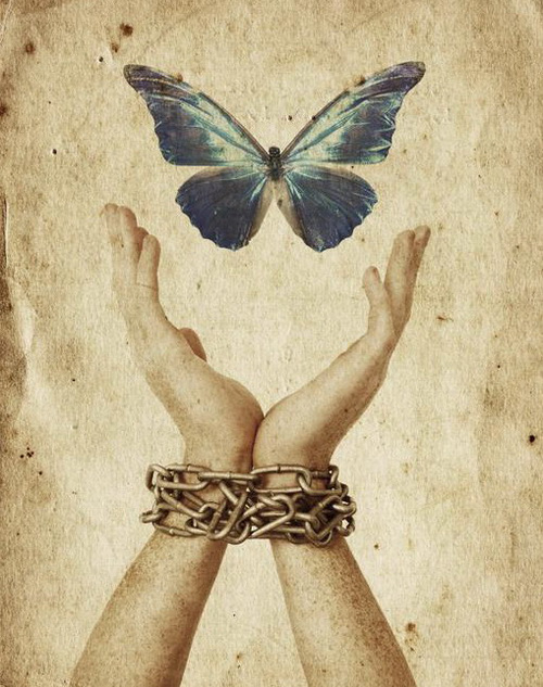 05-freedom-butterfly
