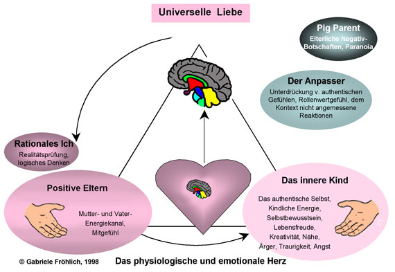 /dateien/112214,1422392800,IHModel German