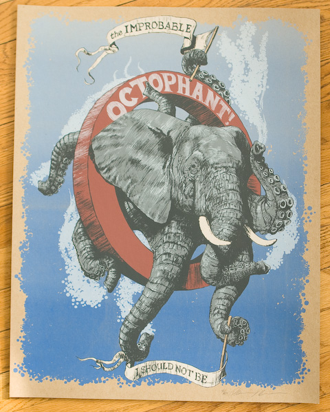 Bilder-Thread 43048,1297596568,octophant3