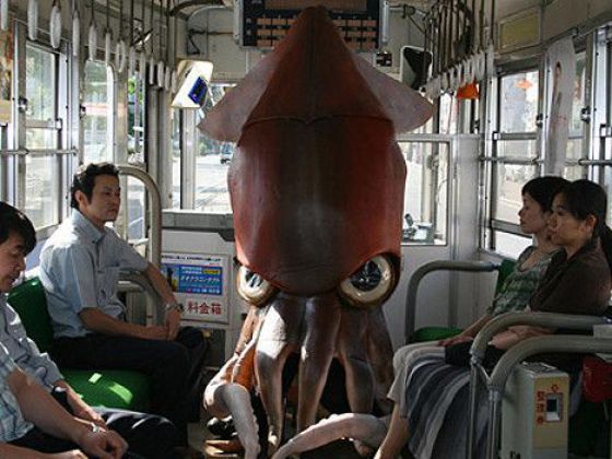 Bilder-Thread 43048,1297597043,daily picdump 439 640 85