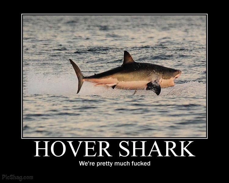Bilder-Thread 43048,1297765767,hover-shark-big