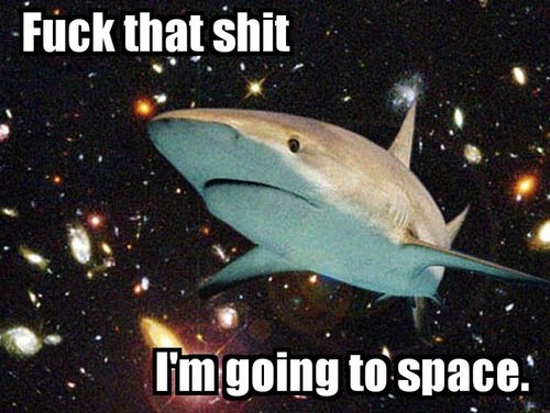 Bilder-Thread 43048,1297883378,tumblr l4iq6uK0cv1qz9bwro1 500