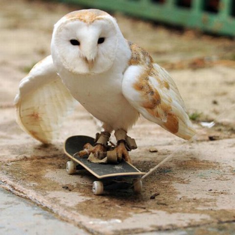 Bilder-Thread 43048,1298197390,4f9b570c054138b6bb940fff9c18211834c49749 m