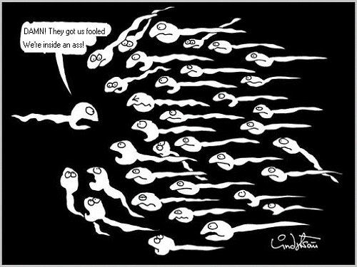 Bilder-Thread 43048,1298758026,sperm