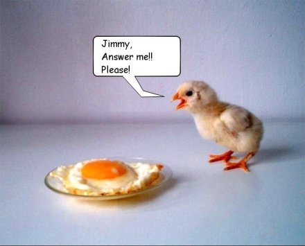 Bilder-Thread 43048,1298806067,Funny-Animals3